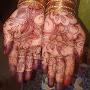 @mdmohammad655