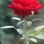 @අයිෂාඅයිෂා