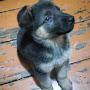 @gevorgtumasyan4724