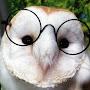 @misterowl2002