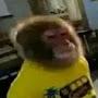 @Substraightlion