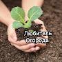 @ovochiUkraine