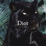 @DiorCasper-n2u