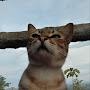 @muhammadreza8730