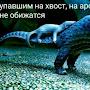 @Ярославович123