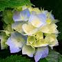 @pareceptionist3039