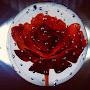 @DeenAlIslam95