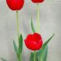 @marymagallanes5083