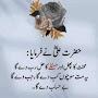 @seemanisar1302