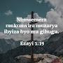 @umuhozadiane3382