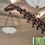@DinosaurDude53747