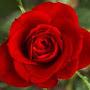@ltchatterjee5178
