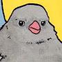 @YMNp