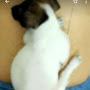 @UdayKiran-vi4sq