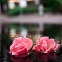 @creativeideawithurvashi7435