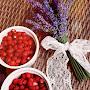 @madeleine4563