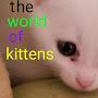 @theworldofkittens-rn7yt