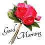 @mmujahid7319