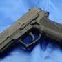 @SigShooter9mm