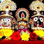 @niranjansahoo1639