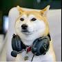 @thegamingdogwr