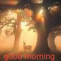 @vishaldongare4127