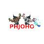 @AceTrainerPhjoho