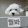 @뭘봐-h7b