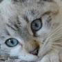 @Kat-zj5kd