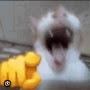 @loooooooool-m2k