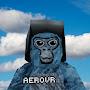 @aerovrgtagmonkey