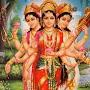 @surendrasinghrana9545