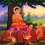 @Dhammapadam