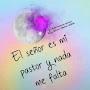 @dicksonmoreno2431