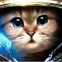 @user-cat-pel3me3n