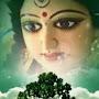 @kaushikkar5798