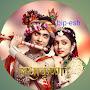 @bipesh-2