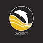 @diliquescomusic4912