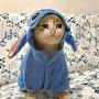 @yasmeenalraay2051