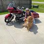 @maryannbcrochets8775