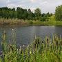@МираВам-г8м