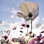 @shortspeech8563
