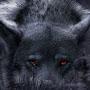 @Goddessofsins-wolf