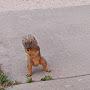 @squirrels666