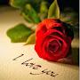 @sagalinaahmed4838