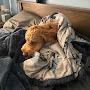 @Jbird2915-iz3yj
