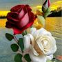 @عاشقةالمطر-د9ظ