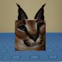 @Kedi-k1x