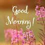 @user-xz5vn7mx9j