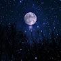 @MooN1-1011